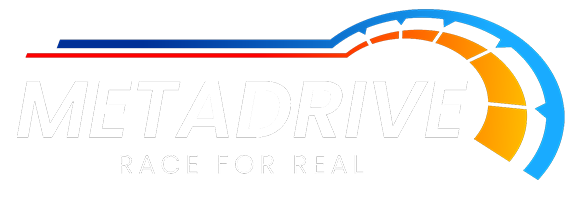 MetaDrive